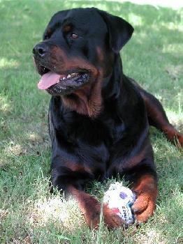 8693_max350x350.jpg